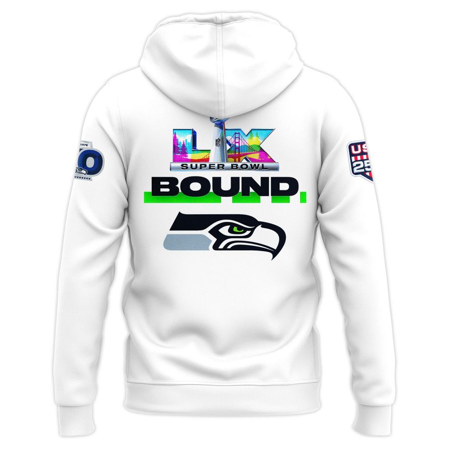Seattle Seahawks We Did Not Care Hoodie